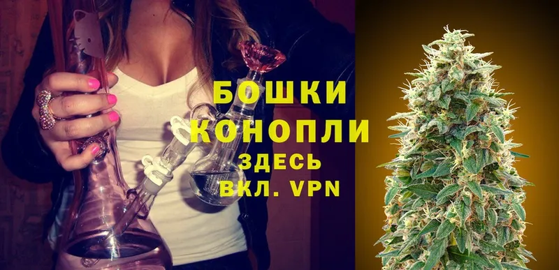 Конопля OG Kush  Лысково 